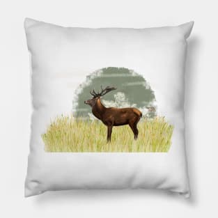 Red deer in Scandinavia Pillow