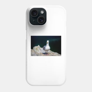 Sea Gull on Granville Island Phone Case