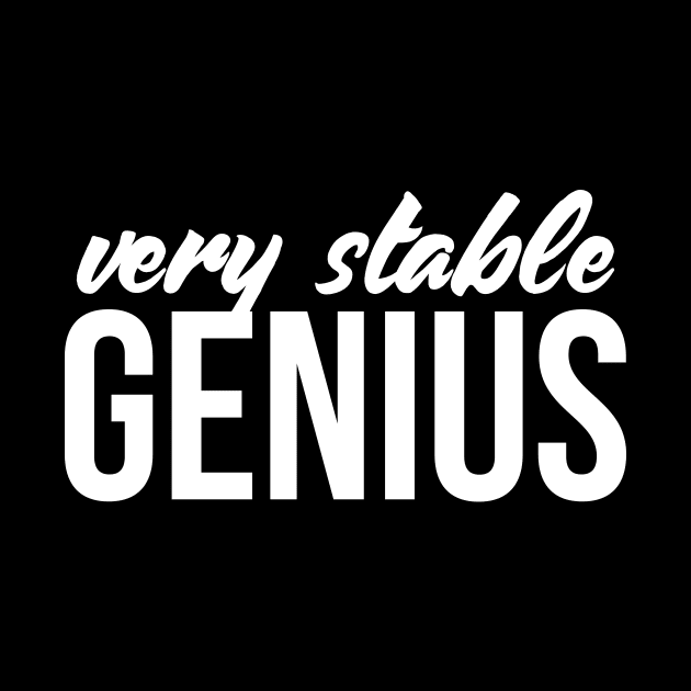 Very Stable Genius T Shirt - Great Political Quote Tee by RedYolk