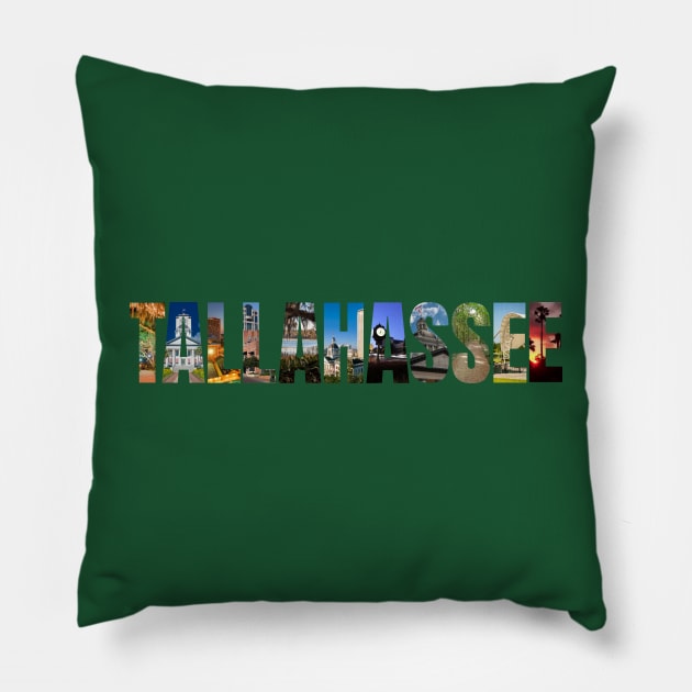 TALLAHASSEE Pillow by Ivy Lark - Write Your Life