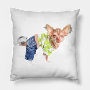 Cricket jeans! Pillow