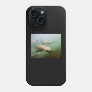 An Inquisitive Sea Lion Off the Shores of Vancouver Island Phone Case