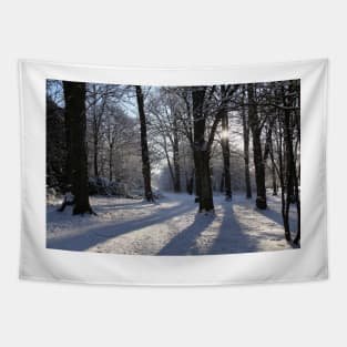 Winter Shadows Tapestry