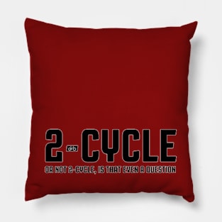 2-Cycle (or not 2-cycle) Pillow