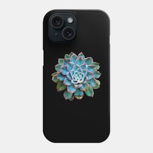 Echeveris Pulidones Phone Case