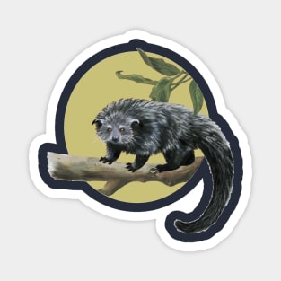 Binturong (Bear Cat) Magnet