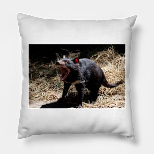 Devil's Roar Pillow