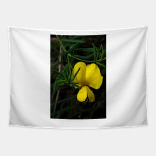 Common Wedge Pea Tapestry