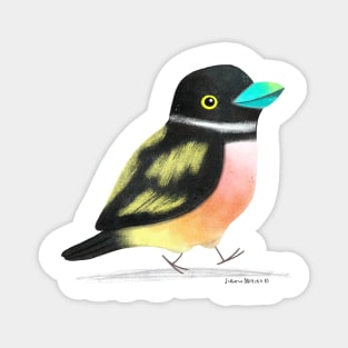 Black and Yellow Broadbill Bird 2 Magnet