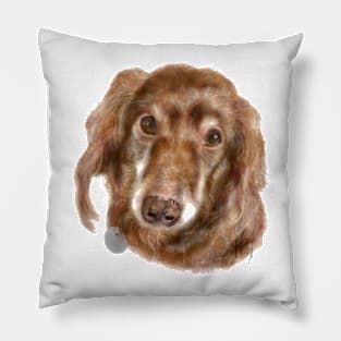 Happy Long Hair Dachshund Pup Pillow