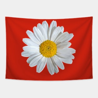 Marguerite on red Tapestry