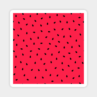 Watermelon Black Seeds Seamless Pattern Magnet