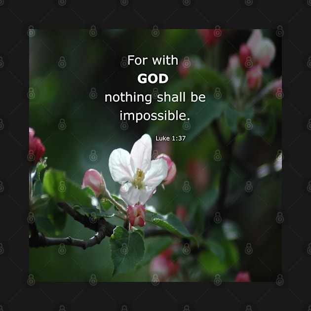 Luke 1:37 - For with God nothing shall be impossible -  Everythings Possible -  BibleVerse Scripture with Pretty White Flower by Star58