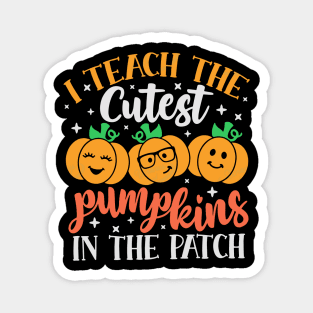 Teach The Cutest Pumpkins In The Patch Retro Teacher Fall Magnet