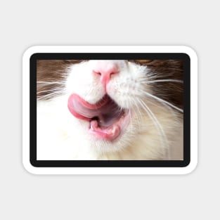 Cat with Tongue Face Magnet