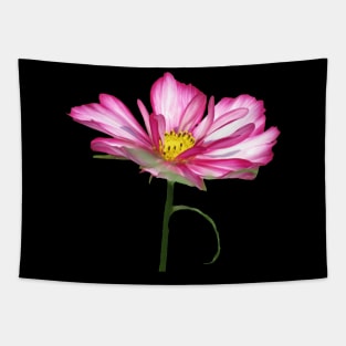 blooming pink flower, bloom, flowers, petals, blooms Tapestry