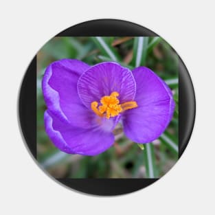 Purple and Orange Flower 2 Pin