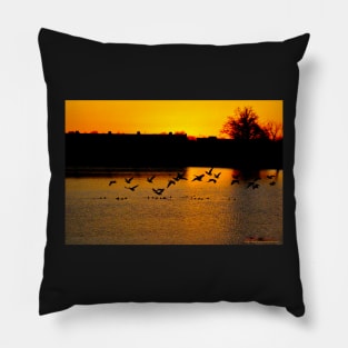 Fleeting Sunset Pillow