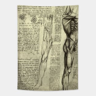 Male Human Anatomy by Leonardo da Vinci Tapestry