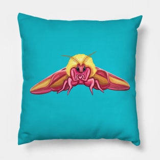 Cute Rosy Maple Moth Pillow