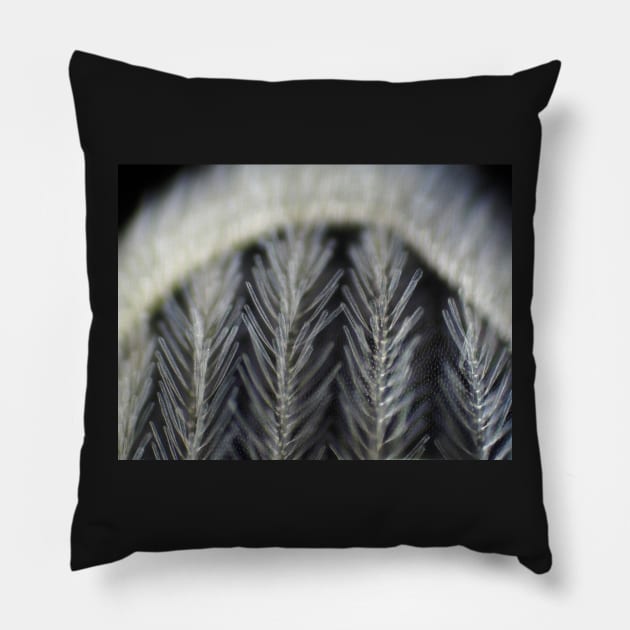Dark field micrograph of a mosquito wing Pillow by SDym Photography