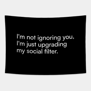 I'm not ignoring you, I'm just upgrading my social filter. Tapestry