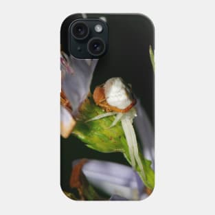 The embrace Phone Case