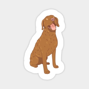 Chesapeake Bay Retriever Magnet