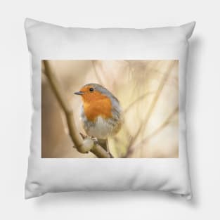 Wistful robin Pillow