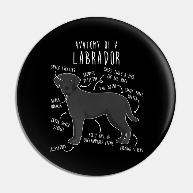 Black Labrador Retriever Dog Anatomy Pin by Psitta