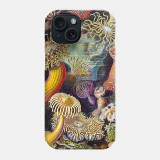 Underwater Creatures Phone Case