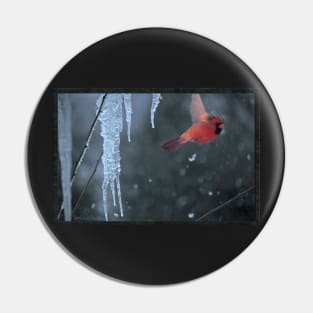 A Winter's Moment Pin