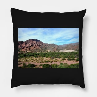 Argentine - Quebrada de las Conchas Pillow