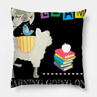 A Whole Llama Learning Going On First Grade Back To School Pillow