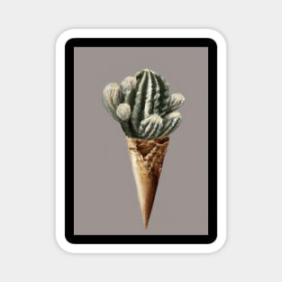 Cactus Ice Cream Magnet