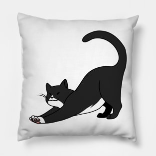 Black n White Cat Stretch Pillow