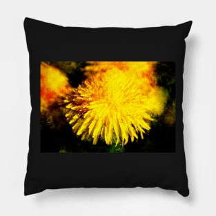 Dandelion blossom, abstract, macro shot, dandelion, flower Pillow