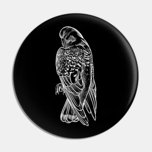 Pigeon Pin