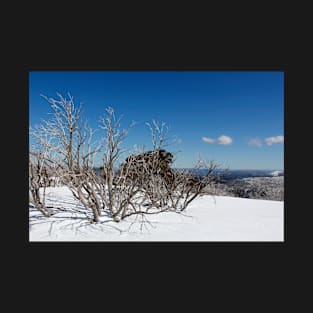 Snow on the mountainside 3 T-Shirt