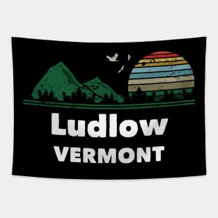 Mountain Sunset Flying Birds Outdoor Ludlow Vermont Tapestry