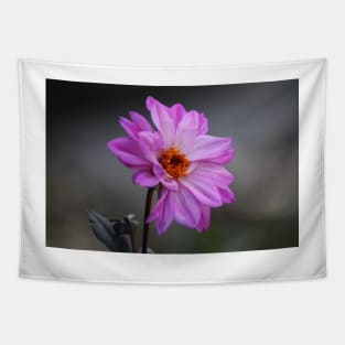 Purple Daisy Tapestry