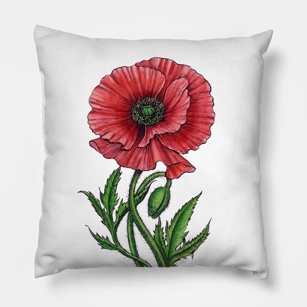 Red poppy, watercolor and ink Pillow by katerinamk