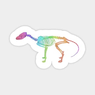 Fox Skeleton Rainbow Magnet