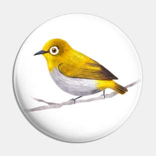 Indian White Eye Bird Species Pin