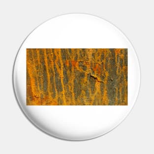 Natures RUST ART Patterns number FIVE Pin