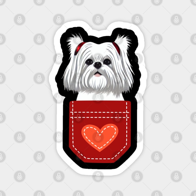 I Love My Crusty White Dog Girl Maltese Shih Tzu Birthday Magnet by Mochabonk