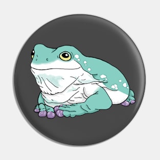 White's Dumpy Tree Frog Pin