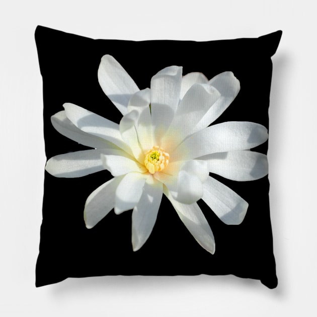 white flower Pillow by rickylabellevie