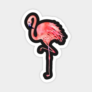 Pink Flamingo in Coral Orange Shade, Watercolor Magnet