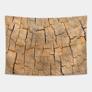 Naturally cracked wood Tapestry
